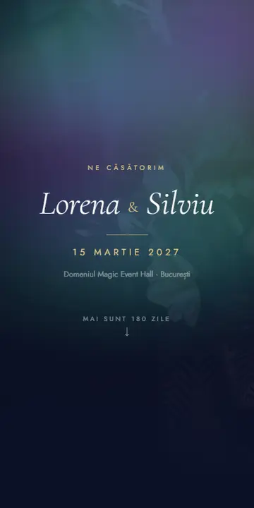 Previzualizare Aurora Boreală