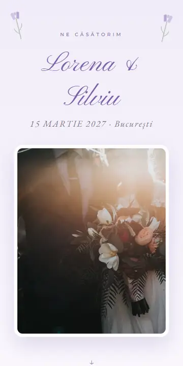 Previzualizare Lavandă